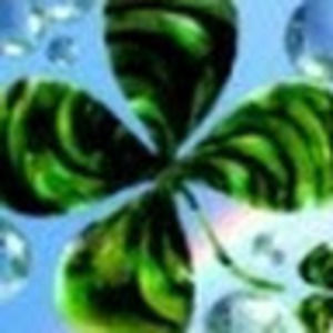 Meet your Posher, Shelly